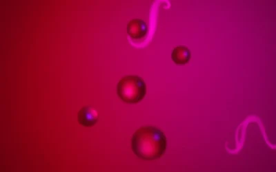 Revolutionizing Health Insights: Your Comprehensive Guide to Advanced Blood Testing